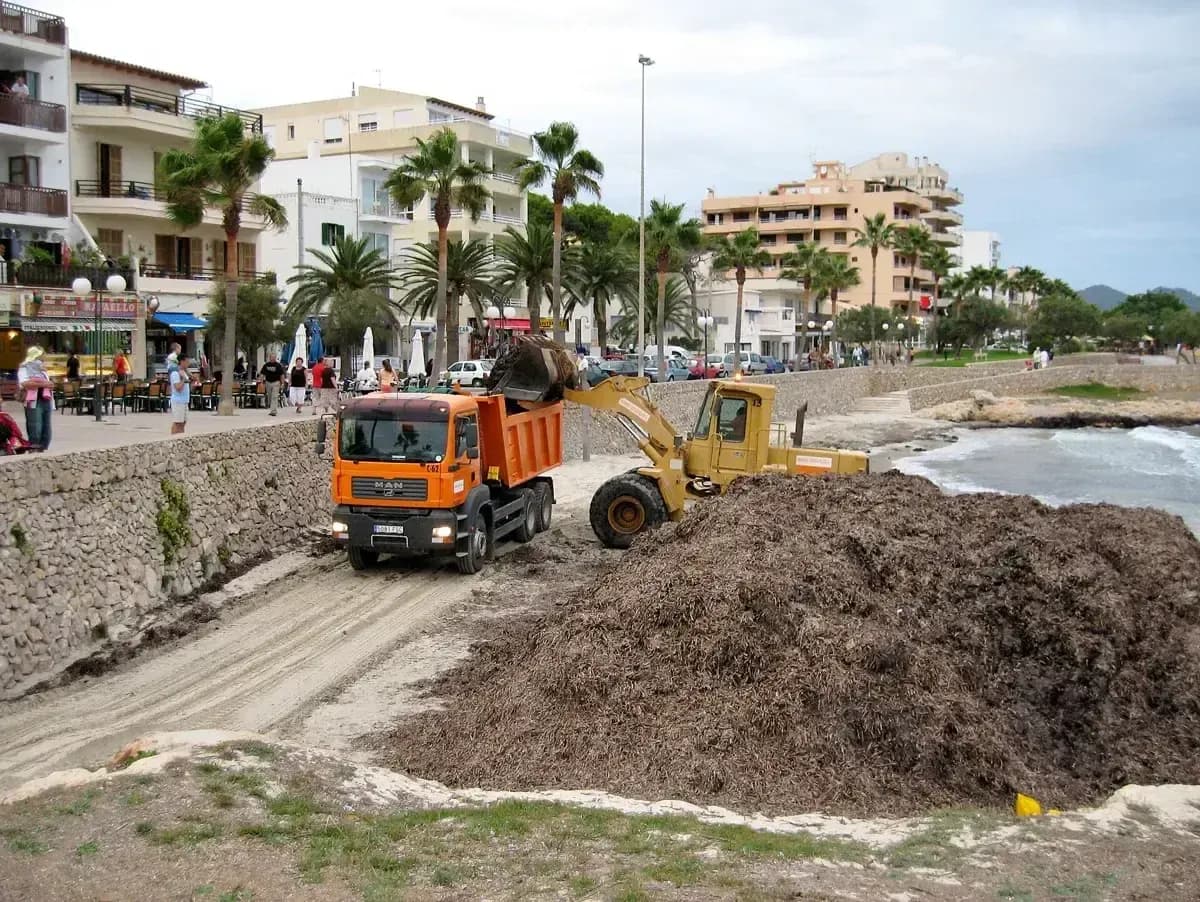 Cala Millor