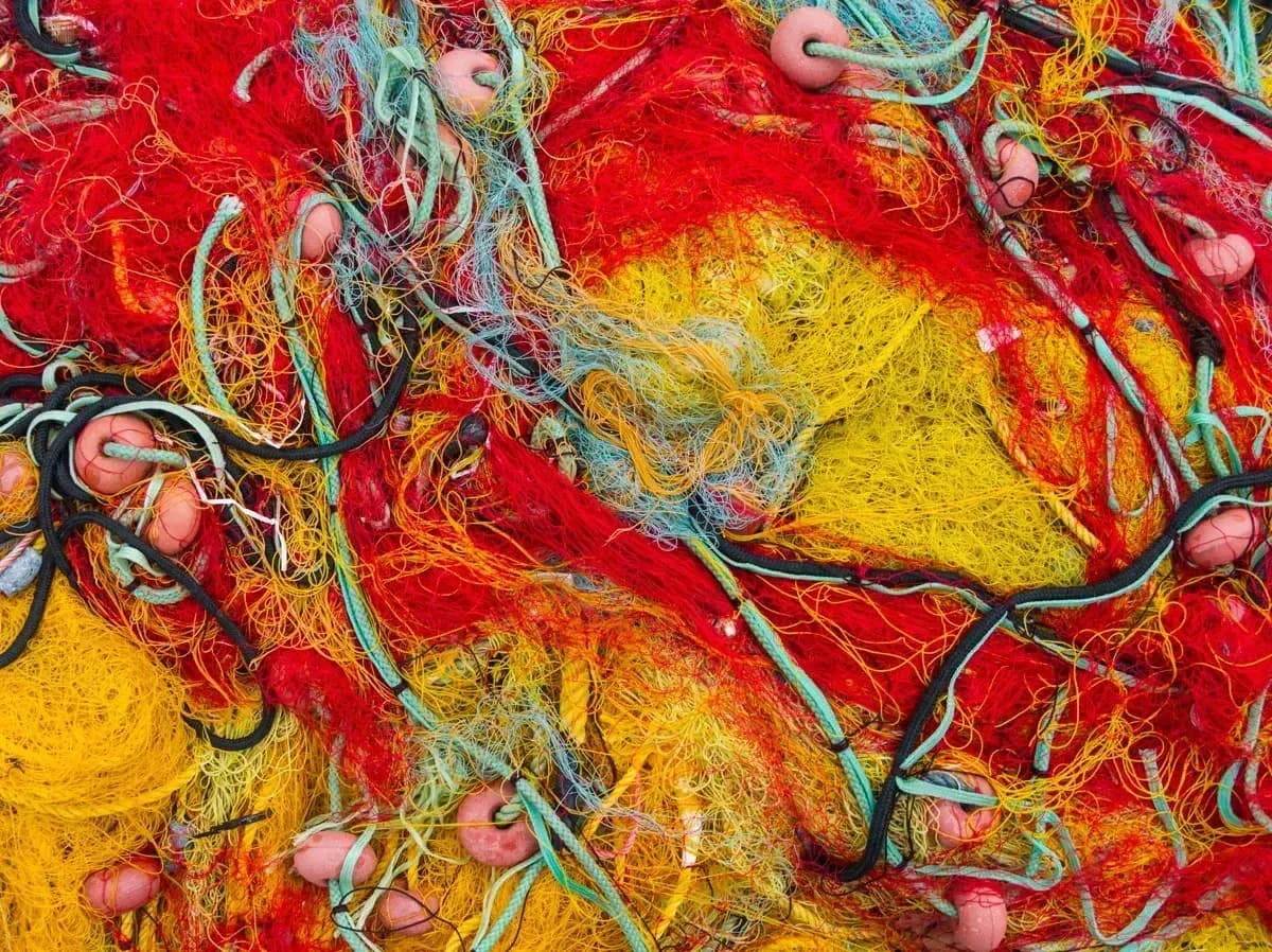 Red de pesca (artes y cebo)